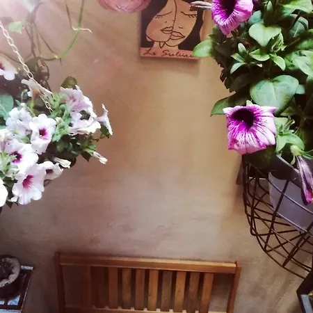 Bed & Breakfast Li Suluri 2*